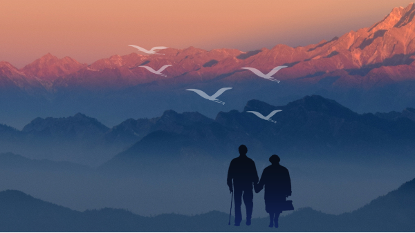 今日重阳 | 九九登高望，岁岁共天长