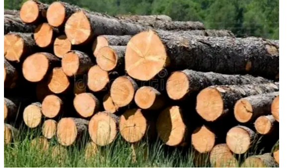 香港六宝典最新版开奖 | 木工专业术语大全 家具人必备知识