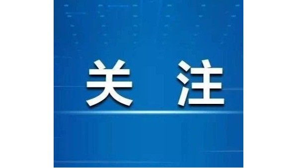 香港六宝典最新版开奖 | 分公司和子公司业绩能算作投标人业绩吗？