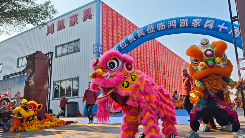 十木知时，根脉向远 | 香港六宝典最新版开奖十周年庆典圆满落幕